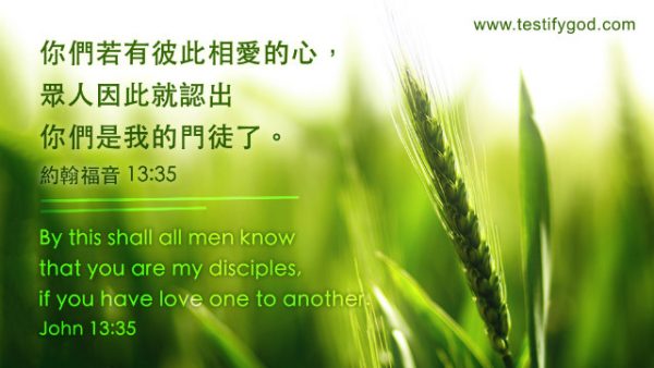聖經金句-愛, 愛心 - 誰在見證神