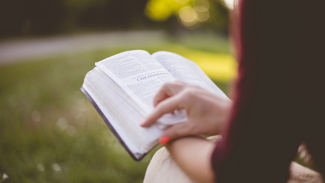 一個法學院大學生的自白