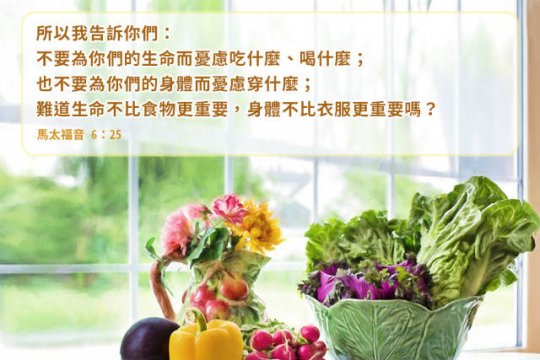 聖經卡片,聖經金句