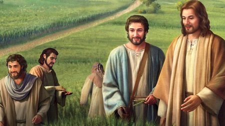 主耶穌帶着門徒從麥地經過