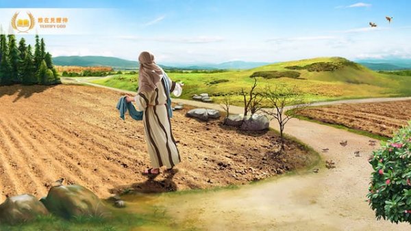【馬太福音】耶穌的比喻——新約聖經故事