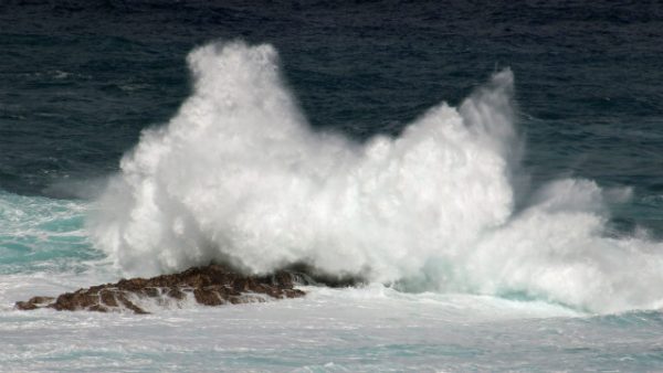 風口浪尖，是誰保守爸爸平安回家？（有聲讀物）