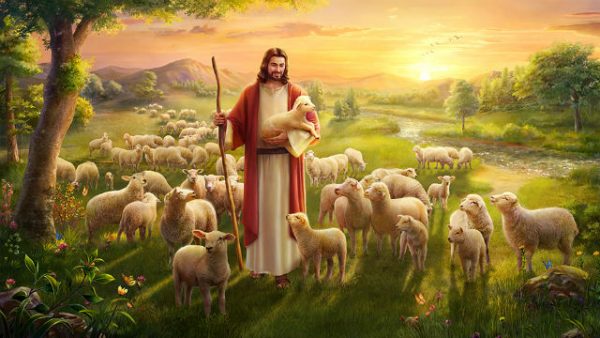 從「神尋找迷路羊」的比喻中看到神對人類的愛惜（有聲讀物）