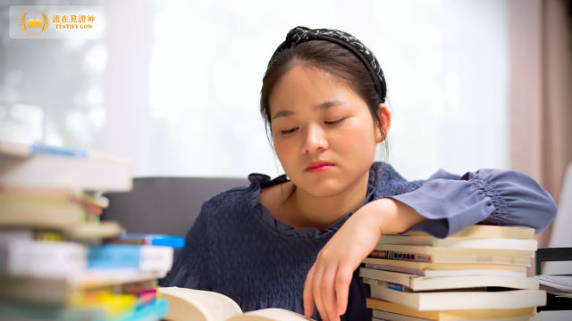 孩子學習壓力大,原因不在父母身上