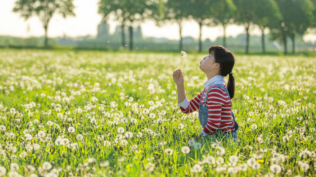 å¹è²å¬è±,éæ¾èªç±