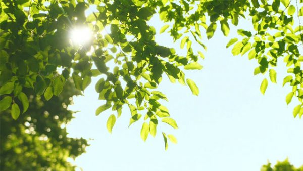 當女兒重病時 神保守她轉危為安